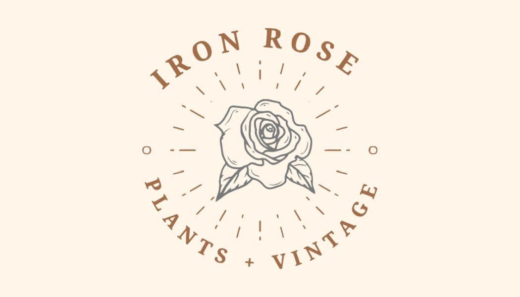Iron Rose Plants and Vintage