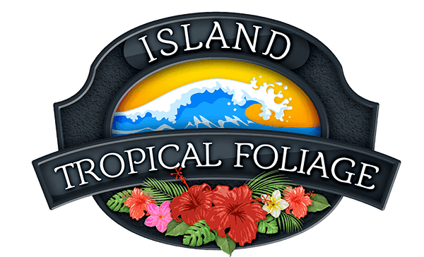 Island Tropical Foliage