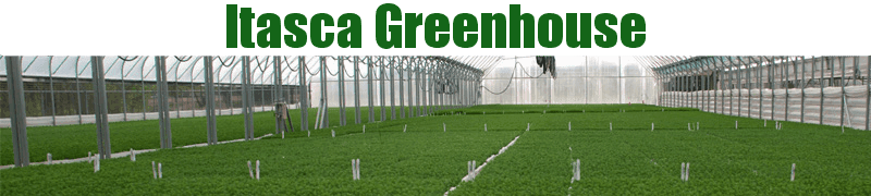 Itasca Greenhouse