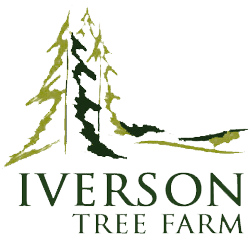 Iverson Tree Farm
