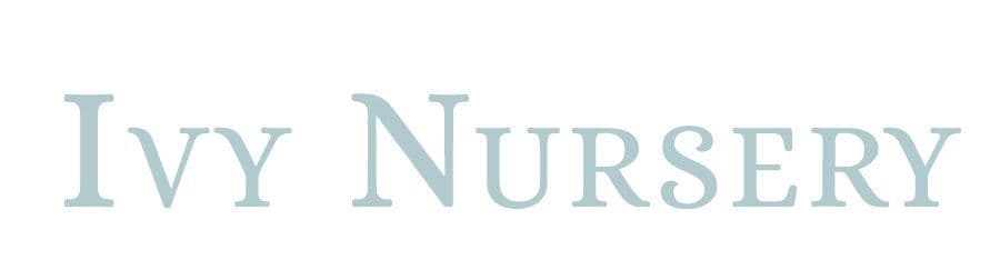 Ivy Nursery Inc