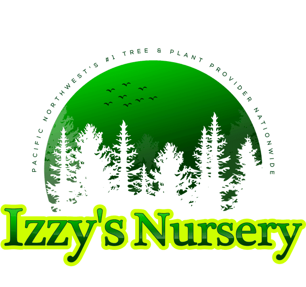 IZZY’S NURSERY INC