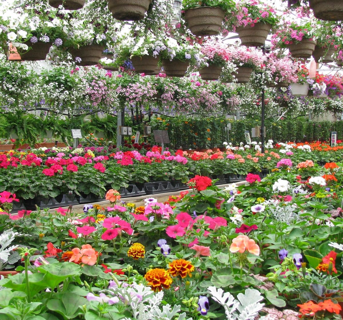 J E Mussig Greenhouses Inc