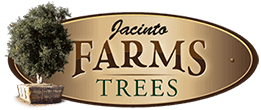 Jacinto Farms Trees