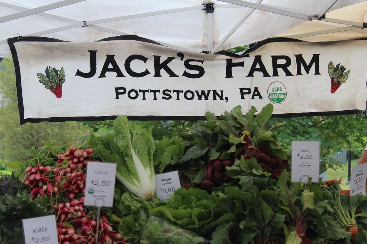 Jack's Farm