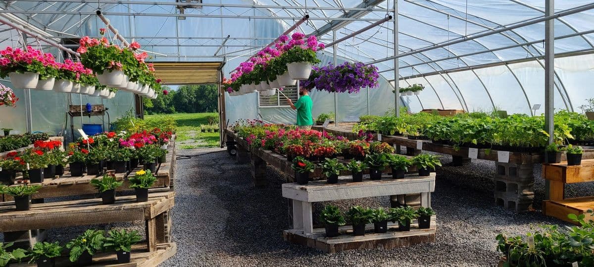 Jake’s Greenhouse and Ice Cream