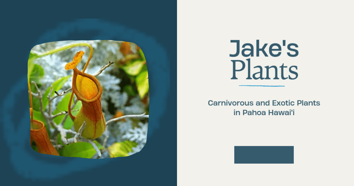 Jake's Plants