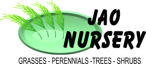 JAO Nursery