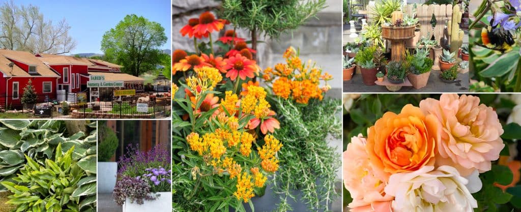 Jared's Nursery, Gift and Garden