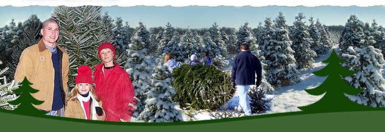 Jarrettsville Nurseries Christmas Tree Farm at Holy Cross Rd