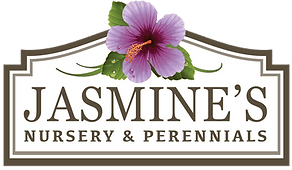 Jasmine's Nursery & Perennials