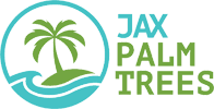 Jax Palm Trees