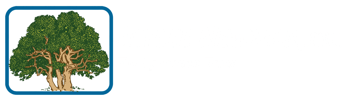 Jaycee Newman Inc