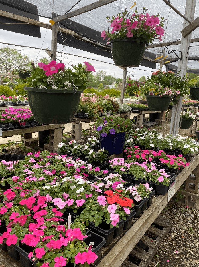 Jazzi's Flower Center