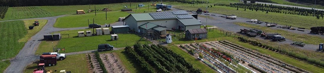 JB Tree Farm