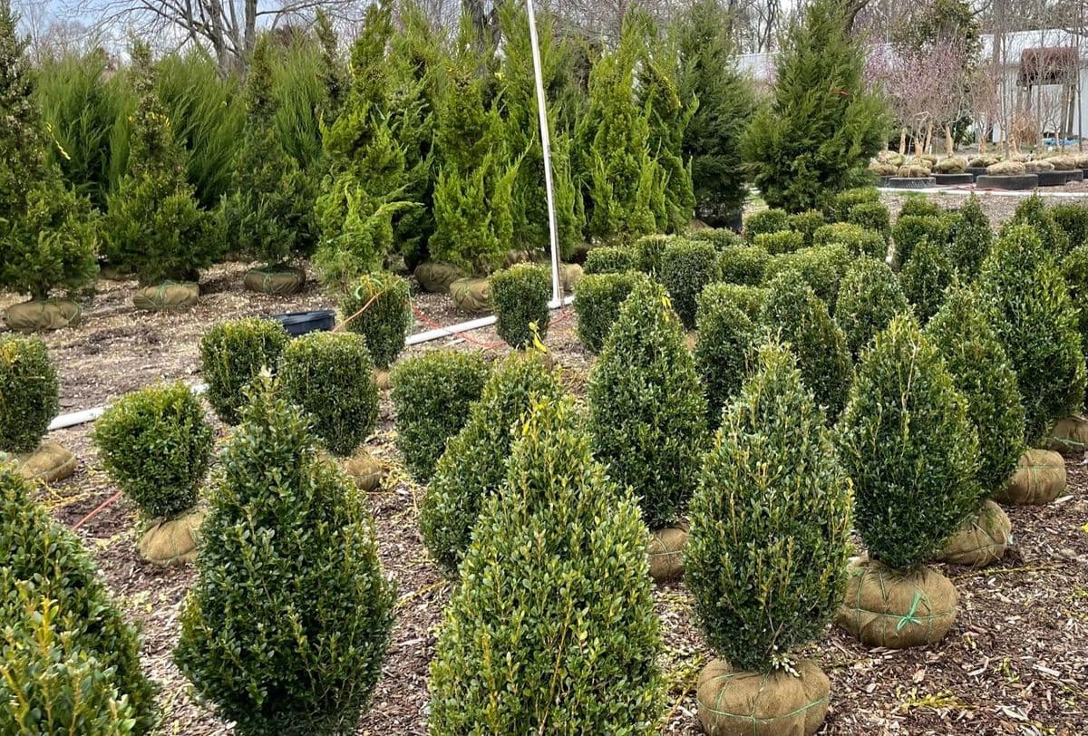 JBYRD Nurseries LLC