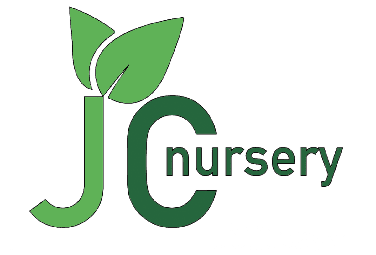 JC Nursery