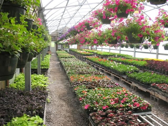 Jeff's Greenhouse