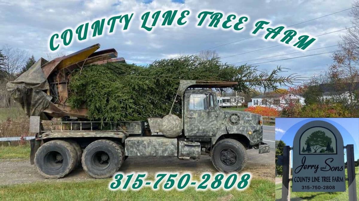 Jerry & Sons County Line Tree