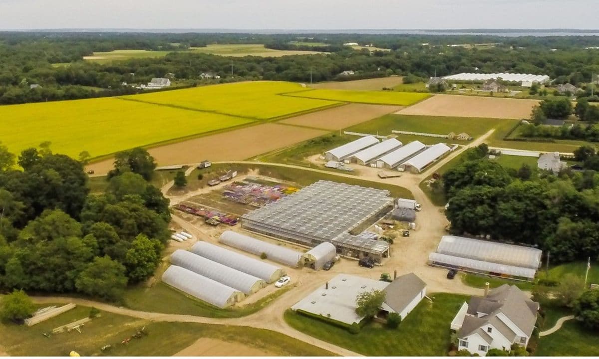 Jim Stakey Greenhouses, LLC
