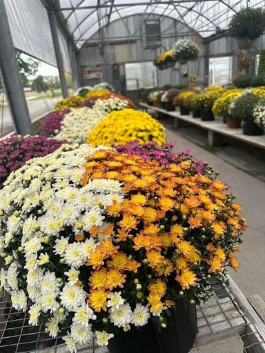 Jim's Greenhouse