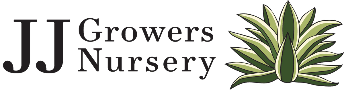 JJ Growers Nursery