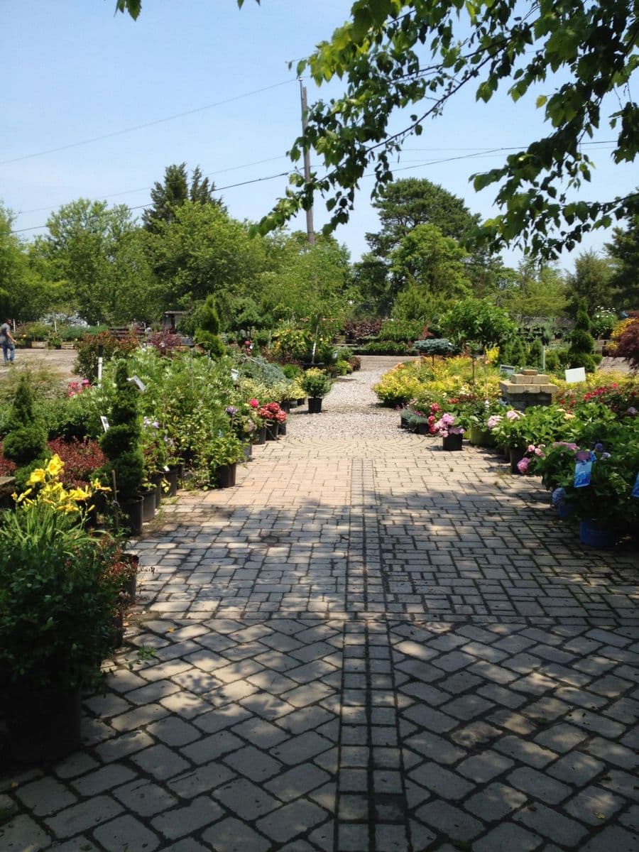 JMJ Farm