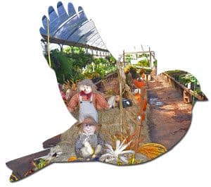 Joe Smith Farms & Garden Center