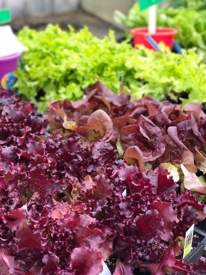 Joe’s Farm Market
