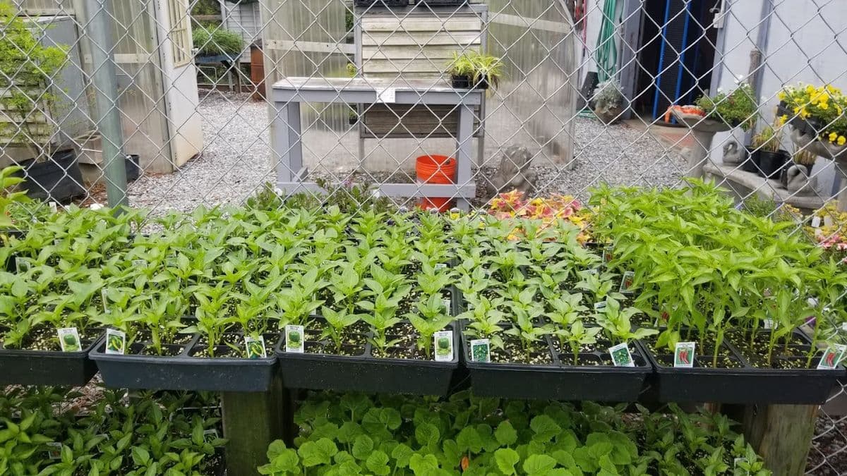 John's Lawn & Garden Center