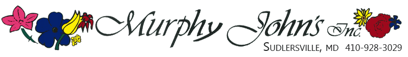 John's Murphy Inc