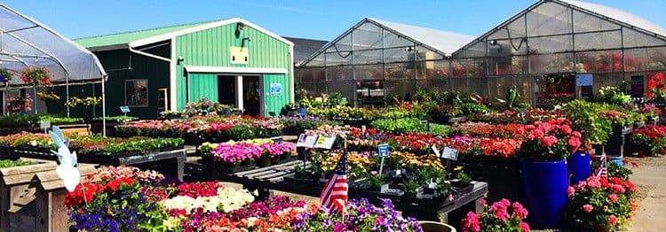 Johnson Brothers Garden Market