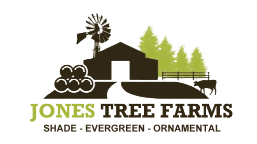 Jones Tree Farms