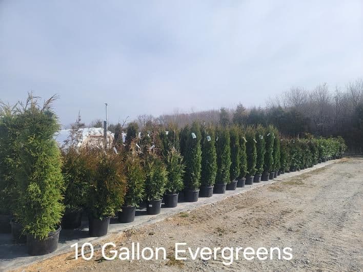 Joseph Wick Nurseries LTD
