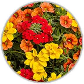 Joseph's Garden & Greenhouse, LLC