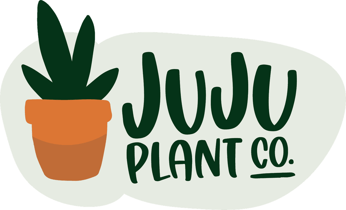 JuJu Plant Co.