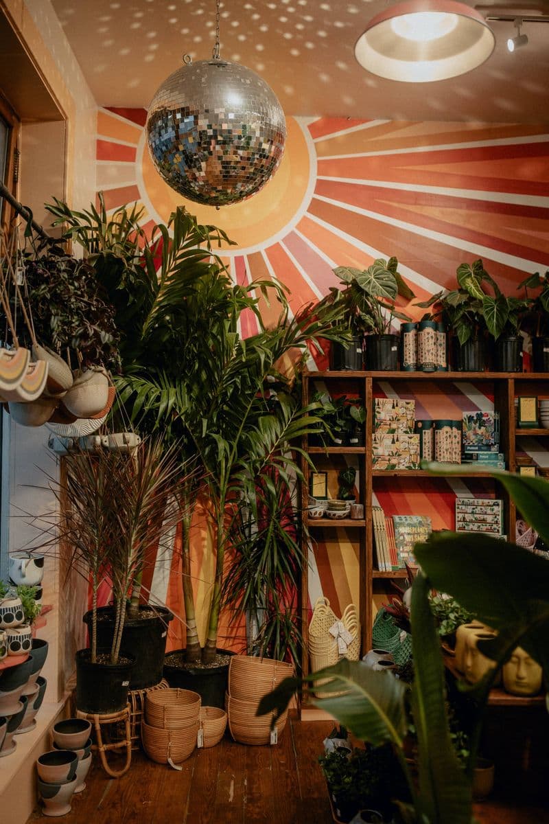Jungle Green House