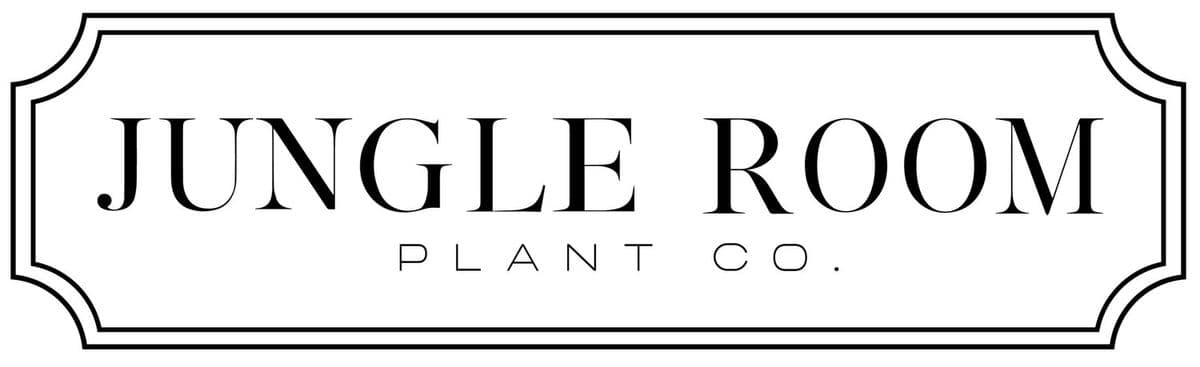 Jungle Room Plant & Candle Co.