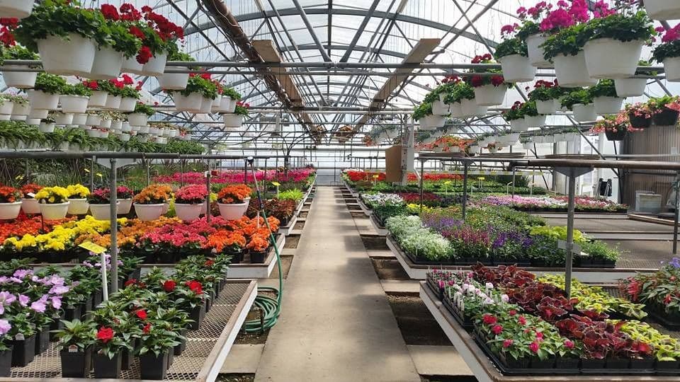 Jurg's Greenhouses