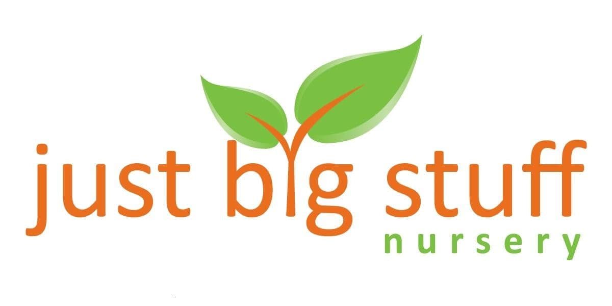Just Big Stuff Nursery