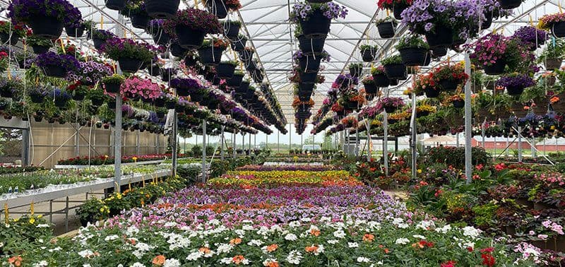 JW Greenhouses