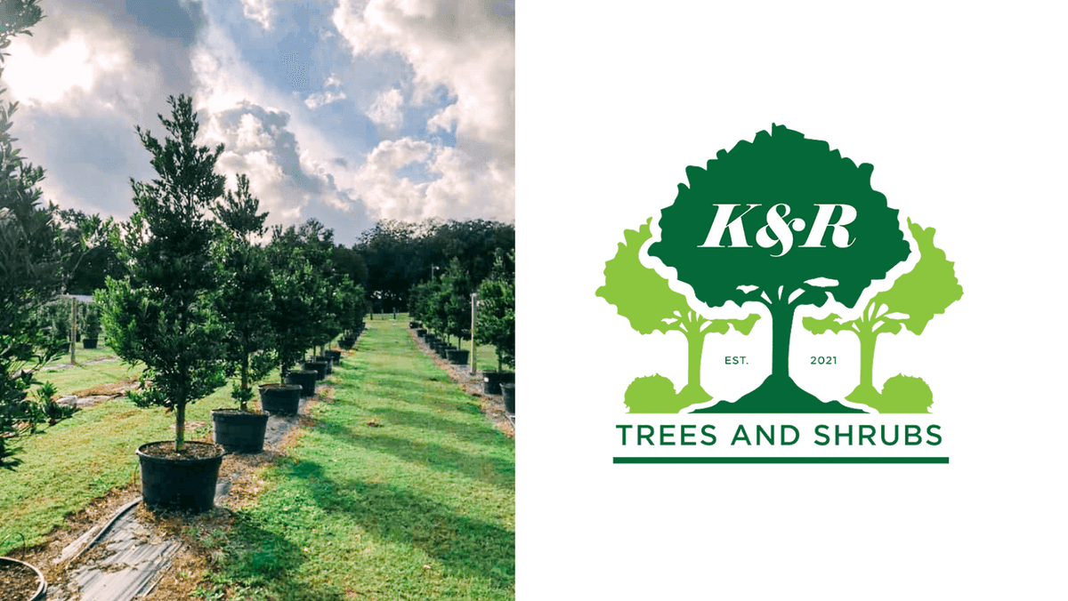 K and R Trees and Shrubs
