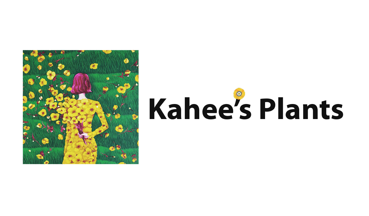 Kahee's Plants