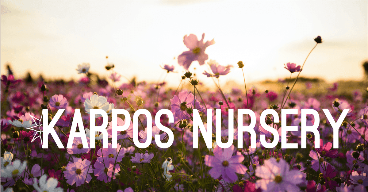 Karpos Nursery