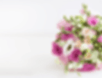 Keekees Flowers