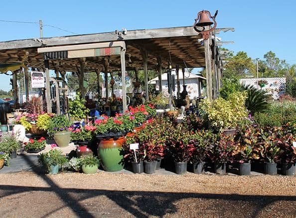 Keep it Green Nursery