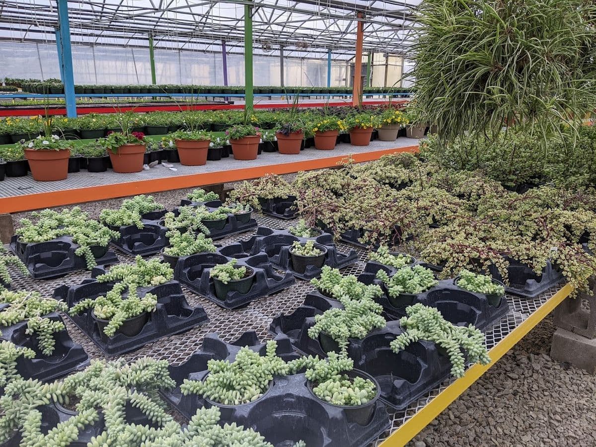 Keller Farms Greenhouse