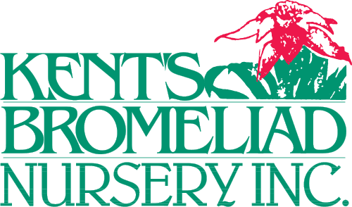 Kent's Bromeliad Nursery Inc