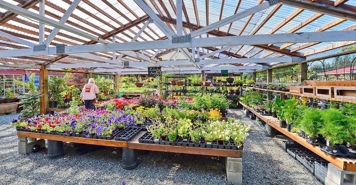 Kent's Garden & Nursery