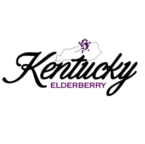 Kentucky Elderberry